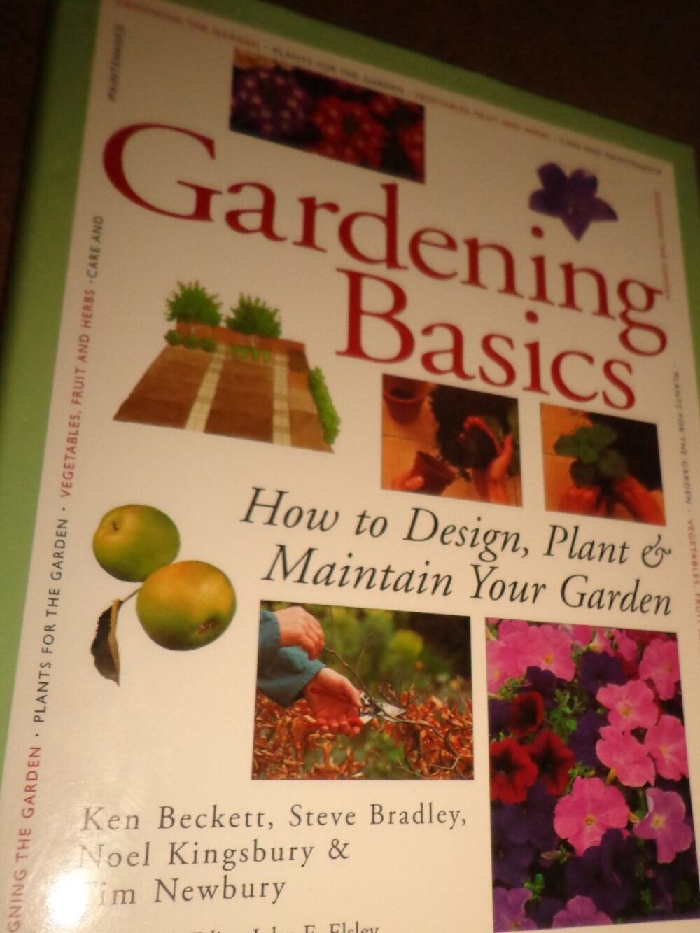 NEW Hardcover Book/Dust Jacket 276 Pgs. Colored Photography